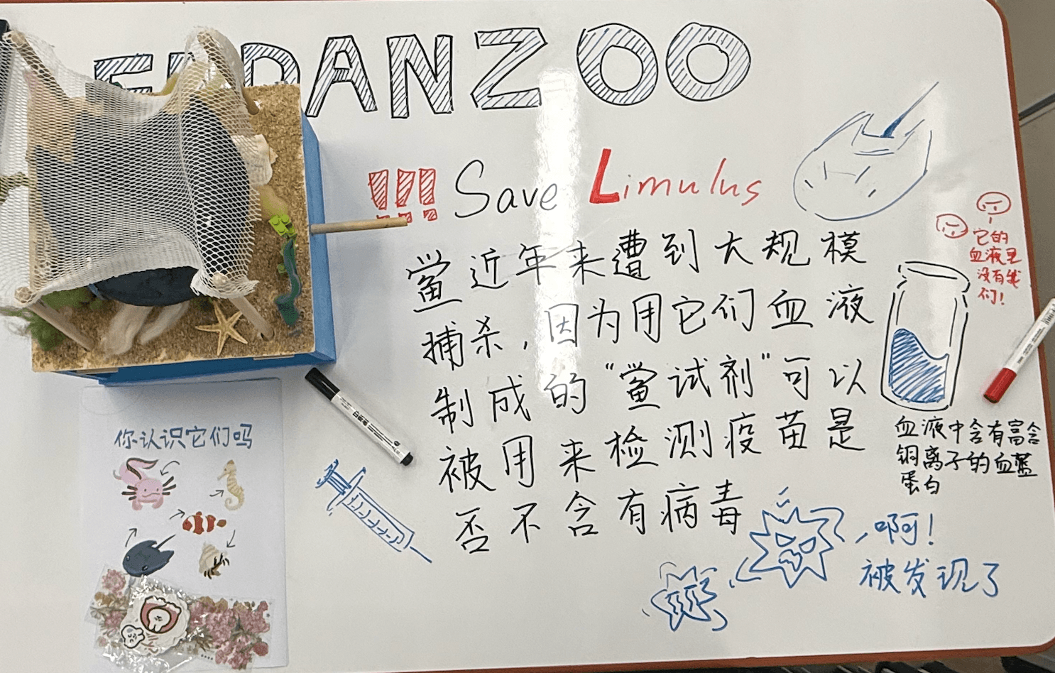 Endanzoo — Evaluation 2